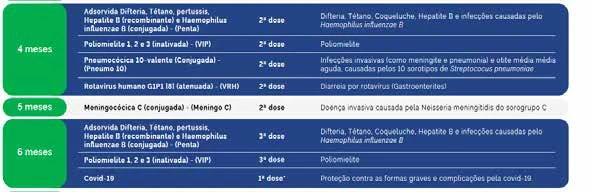 Figura 1 - Calendário nacional de vacinação da criança.