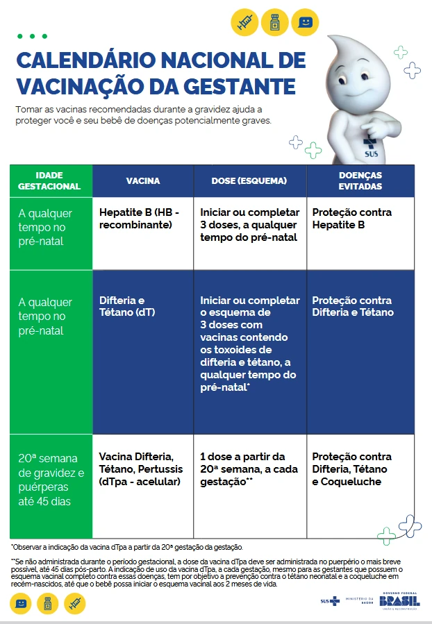 Figura 2 – Calendário nacional de vacinação da gestante